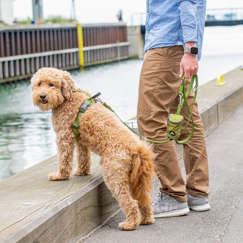 DOG Copenhagen Urban Classic hondenlijn groen – man loopt Goldendoodle aan lijn bij kade, met Pouch Organizer tas