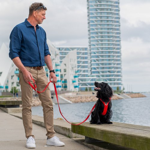 DOG Copenhagen Urban Classic hondenlijn rood – man loopt met zwarte Cocker Spaniel op kade in stedelijke omgeving