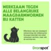 Dronspot werkt tegen alle belangrijke maagdarmwormen bij katten, inclusief larvestadia