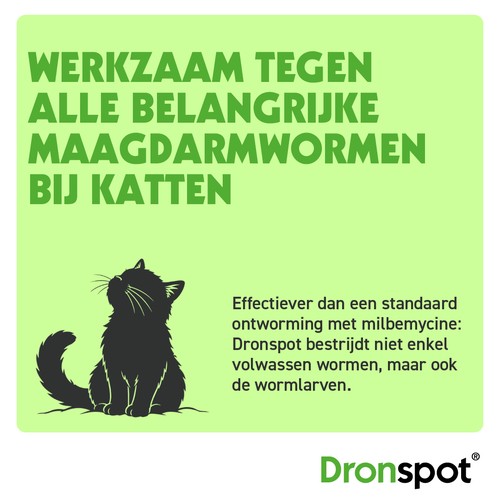 Dronspot werkt tegen alle belangrijke maagdarmwormen bij katten, inclusief larvestadia