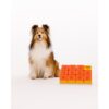 Hond bezig met Pawzler Treat Maze level 3 puzzel