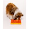 Hond bezig met mentale stimulatie via Pawzler Treat Maze