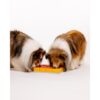 Pawzler Treat Maze – hond zoekt treats in doolhof