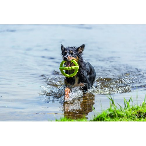 Hond komt lopend uit het water met Trixie Aqua Toy Grijper limoengroen, apporteeropdracht