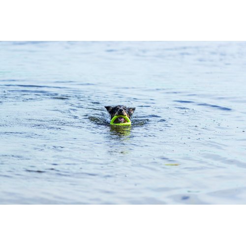 Hond zwemt in open water met Trixie Aqua Toy Grijper limoengroen in de bek