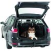 Border Collie liggend op Trixie kofferbak beschermdeken in open kofferbak stationwagen, schuine opname