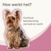 Werking van de Beaphar Medicinale halsband via de huid en vacht van de hond