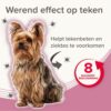 Beaphar Medicinale halsband weert teken bij honden