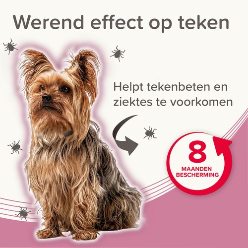 Beaphar Medicinale halsband weert teken bij honden