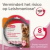 Beaphar Medicinale halsband vermindert het risico op leishmaniose door zandvliegen