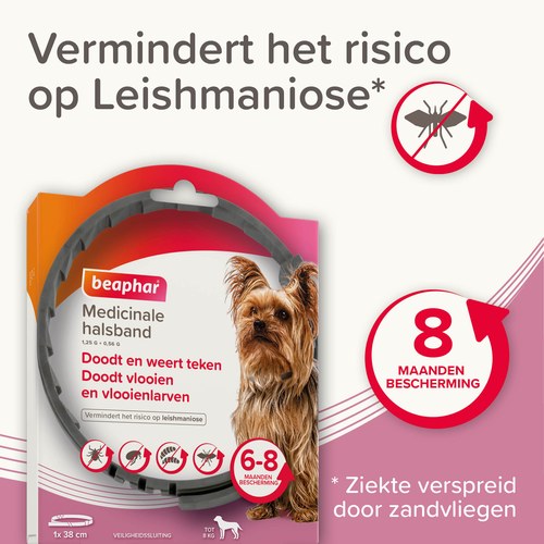 Beaphar Medicinale halsband vermindert het risico op leishmaniose door zandvliegen