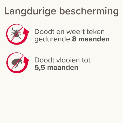 Beaphar Medicinale halsband kat beschermt tegen teken en vlooien tot 8 maanden