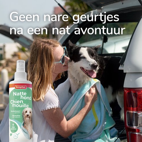 Vrouw droogt een natte border collie af in de kofferbak van de auto met Beaphar Natte Hond Spray