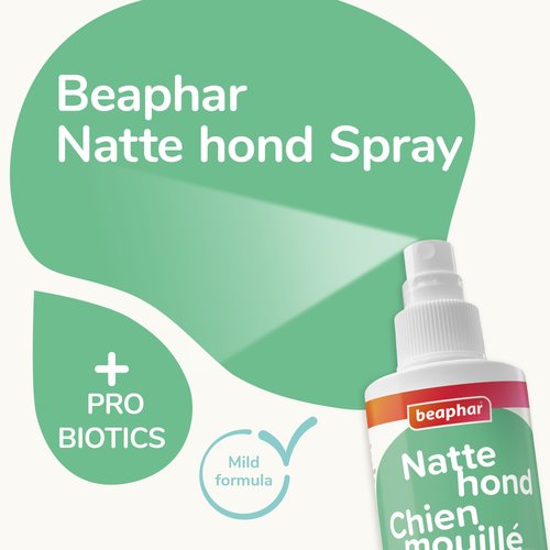 Infographic die toont hoe Beaphar Natte Hond Spray onplezierige geuren neutraliseert, met een voor en na van de hond