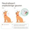Productafbeelding Beaphar Natte Hond Spray met probiotica, groen ontwerp met flesje