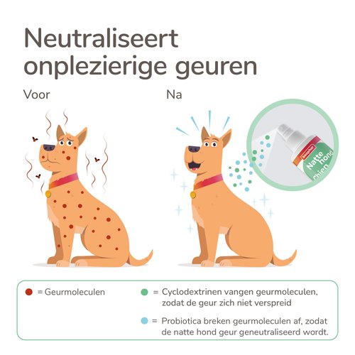 Productafbeelding Beaphar Natte Hond Spray met probiotica, groen ontwerp met flesje
