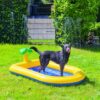 Hond koelt af in het Beeztees Palmy hondenzwembad in de tuin