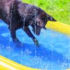 Hond stapt in het ondiepe water van het hondenzwembad met sprinklers