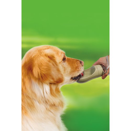 Hond drinkt water uit de drinkfles travel in de natuur – verse water onderweg, dierenwelzijn centraal