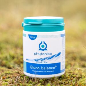Phytonics Gluco Balance voor hond en kat in het gras