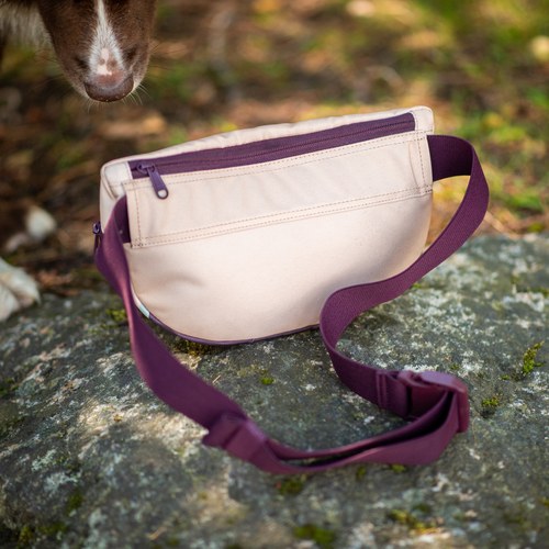 Achterkant van de Pomppa Belt Bag met verborgen ritsvak en verstelbare riem