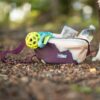 Pomppa Belt Bag gevuld met hondenspeelgoed, snoepjes en een waterfles