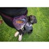Pomppa Treat Bag gevuld met brokjes met wachtende zwarte cocker spaniel