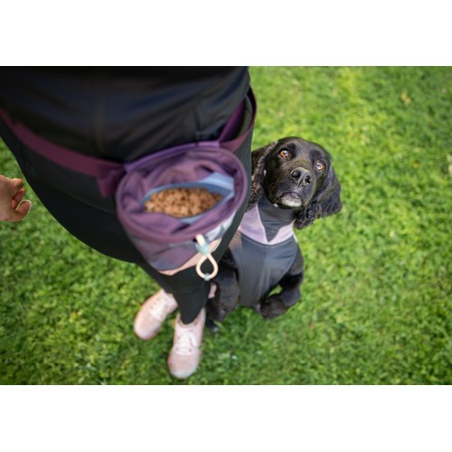 Pomppa Treat Bag gevuld met brokjes met wachtende zwarte cocker spaniel
