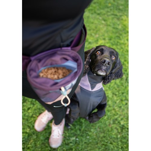 Pomppa Treat Bag met brokjes tijdens de training van een zwarte cocker spaniel
