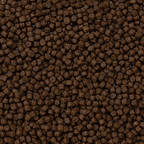 Bruine geëxtrudeerde pellets van Deli Nature Rodelicious frettenvoer van dichtbij
