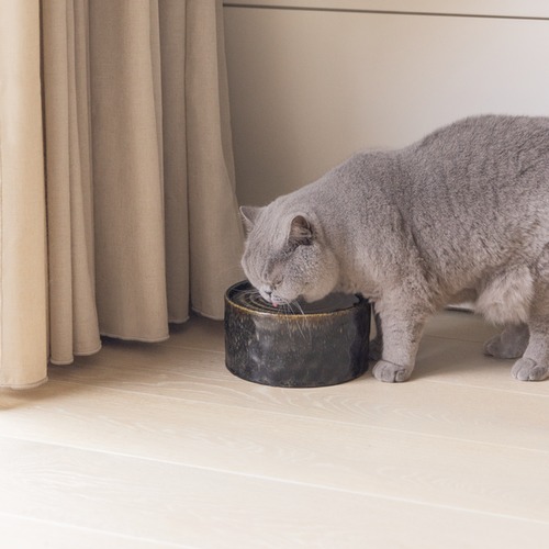 Keramische drinkfontein voor katten in een woonkamer met kat die staat te drinken
