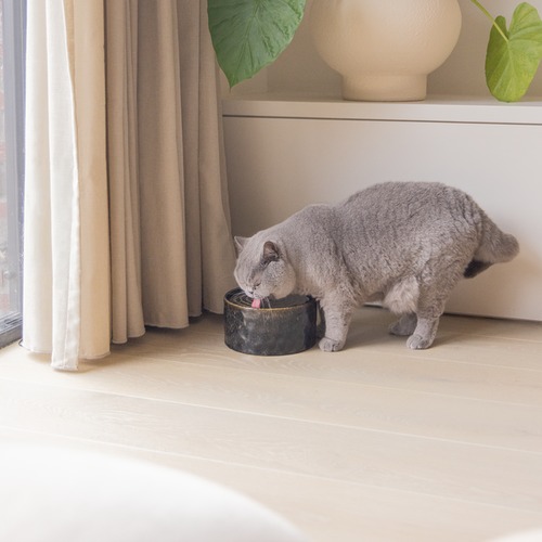 Drinkfontein Jace van Designed by Lotte in een lichte woonkamer met drinkende kat