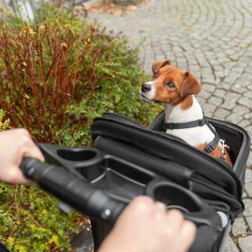 Jack Russell kijkt uit de hondenbuggy, gezien vanaf de duwstang