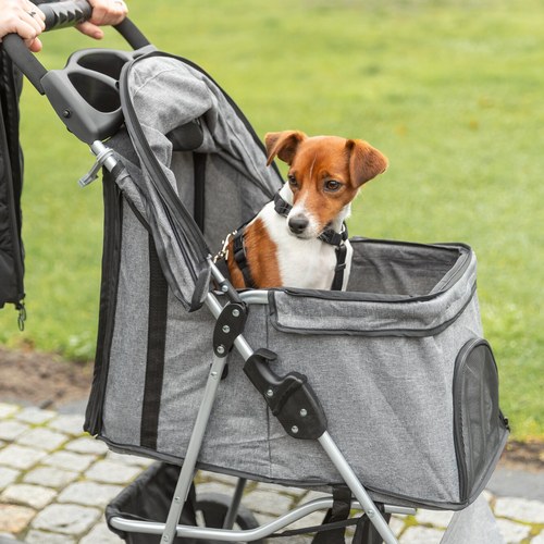 Wandelen met een hond in de grijze hondenbuggy met 4 wielen