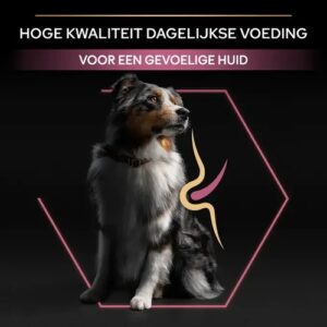 Pro Plan hondenbrokken, hoge kwaliteit dagelijkse voeding voor een gevoelige huid, verkrijgbaar bij Zeeuwse Pootjes in Hulst