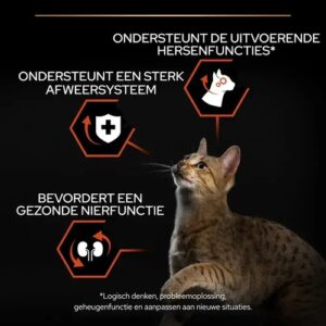 Infographic vitale functies: ondersteunt hersenfuncties, afweersysteem en nierfunctie van de kat