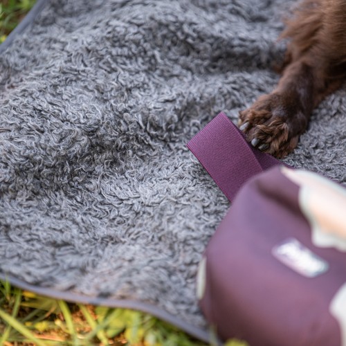 Hond rustig settelt op Pomppa Settle Mat buiten op gras, geschikt voor trainingen en wedstrijden