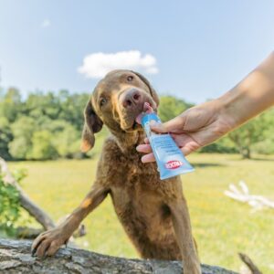 Hond likt likpasta met zalm rechtstreeks uit de tube in het gras