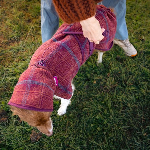 Hond krijgt de wollen hondenjas WooliePomppa aangetrokken in het gras