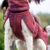 Achteraanzicht van de wollen hondenjas over rug en flanken van de hond
