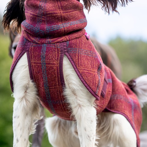Achteraanzicht van de wollen hondenjas over rug en flanken van de hond
