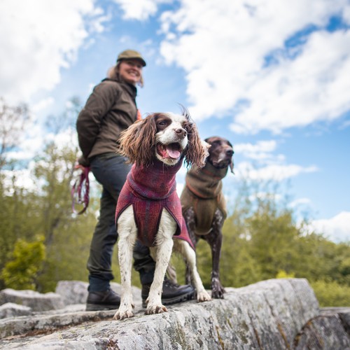 Wandelaar met twee honden in de wollen hondenjas WooliePomppa