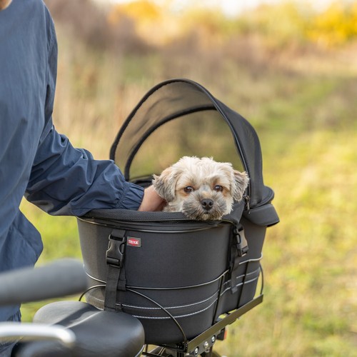 Kleine hond kijkt vrolijk uit de hondenfietsmand achterop