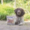 Hond ligt buiten naast een zak Beeztees Kipfilet Strips