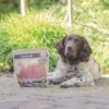 Hond ligt buiten naast een zak Beeztees Kippenborstfilets in de tuin