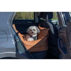 Hond zittend in de cognackleurige hondenautostoel op de achterbank van de auto