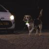 Baasje en hond goed zichtbaar voor een auto dankzij de LED bij het handvat