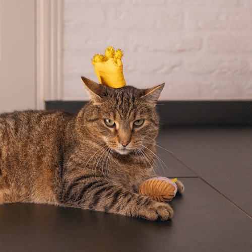 Kat met geel kroontje kattenspeelgoed op haar hoofd