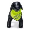 Beeztees Chiny bandana met reflecterende Light me up! tekst op zwarte etalagehond