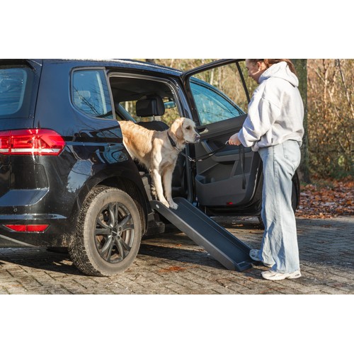 Hond loopt over de hondenloopplank uit de zijdeur van een auto
